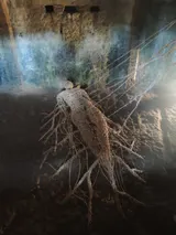 This Is My Body - Thumbnail 2