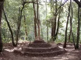 Along the Wood Grain - Thumbnail 2