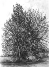 Countryside drawing - Thumbnail 2