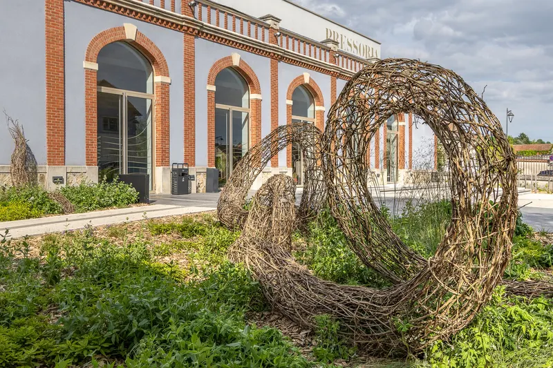 In Praise of the Spiral and the Quest for Light - Installation (2024) - Wild clematis and grapevine canes by Véronique Matteudi