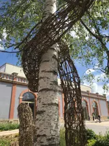 In Praise of the Spiral and the Quest for Light - Thumbnail 8