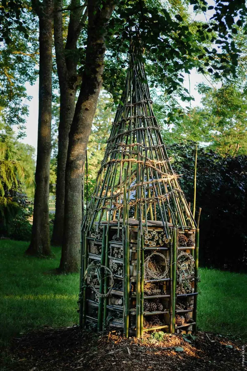 Raising awareness of biodiversity and its fragility - Ateliers & Médiations (2018) -  Wild clematis, branches, bamboo, various plants by Véronique Matteudi