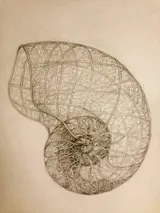 The Nautilus - Thumbnail 4