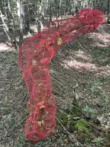 The Earth’s Intestine - Thumbnail 7
