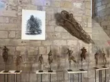 Exhibition - Thumbnail 5