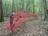 The Earth’s Intestine - Thumbnail 6