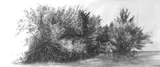 Countryside drawing - Thumbnail 3