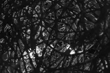 Network of Tangled Noises - Thumbnail 4