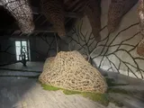 Exhibition “Etre vivant” - Thumbnail 2