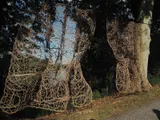 Stage Curtain - Thumbnail 5