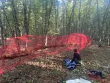 The Earth’s Intestine - Thumbnail 4